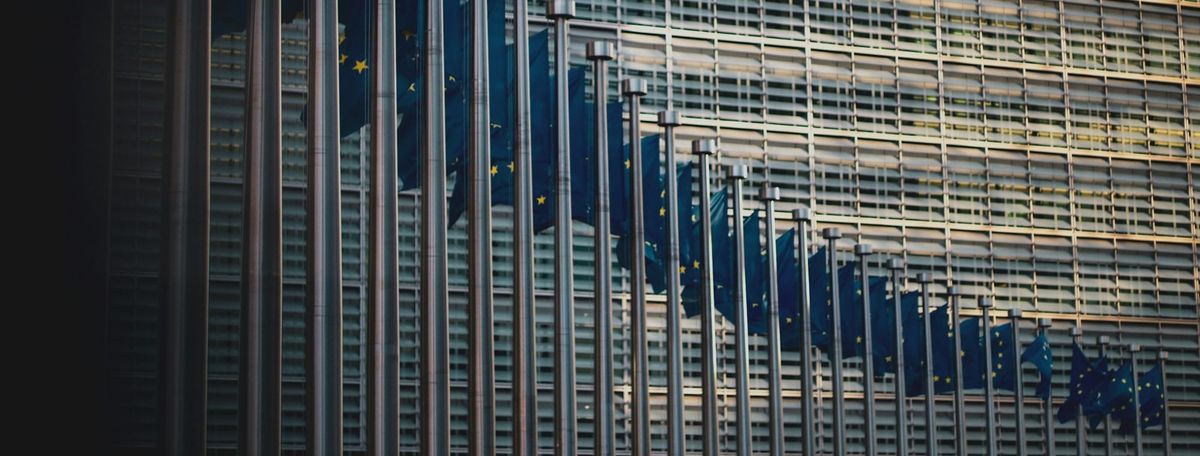 Edição Especial - UE, Que Futuro?