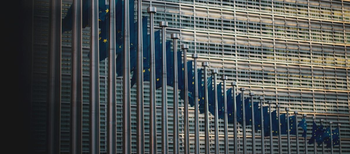 Special Edition - EU, What future?