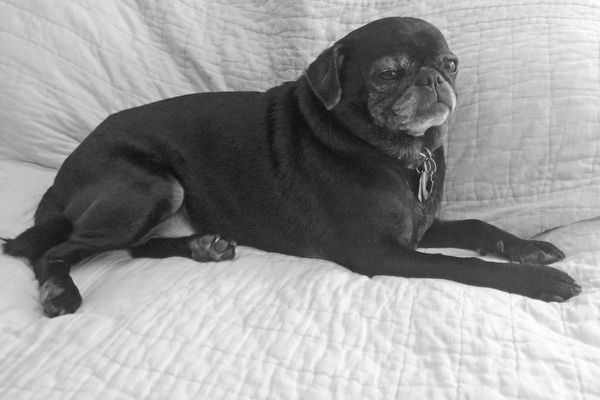 Training (the Untrainable?) Jordan