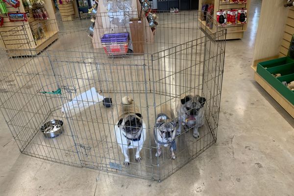 The Ballad of Johnny & June—Verse 4