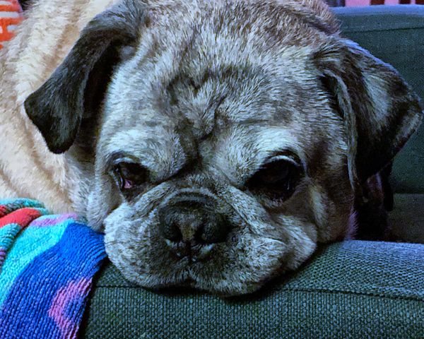 The Ballad of Johnny & June—Verse 5