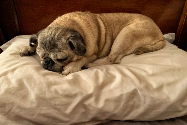 The Ballad of Johnny & June—Verse 6