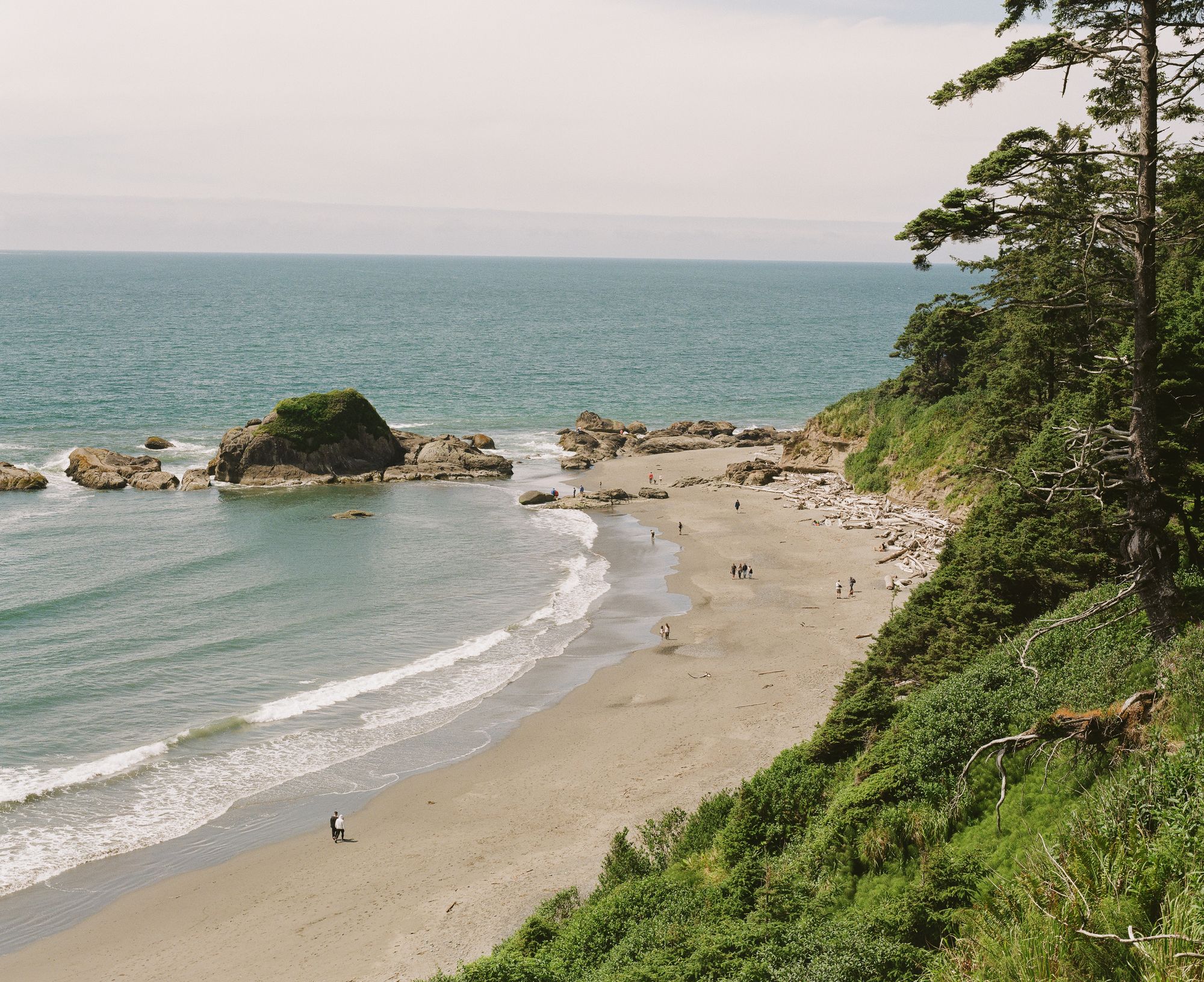 Beach 4 on the coastline of Washington State