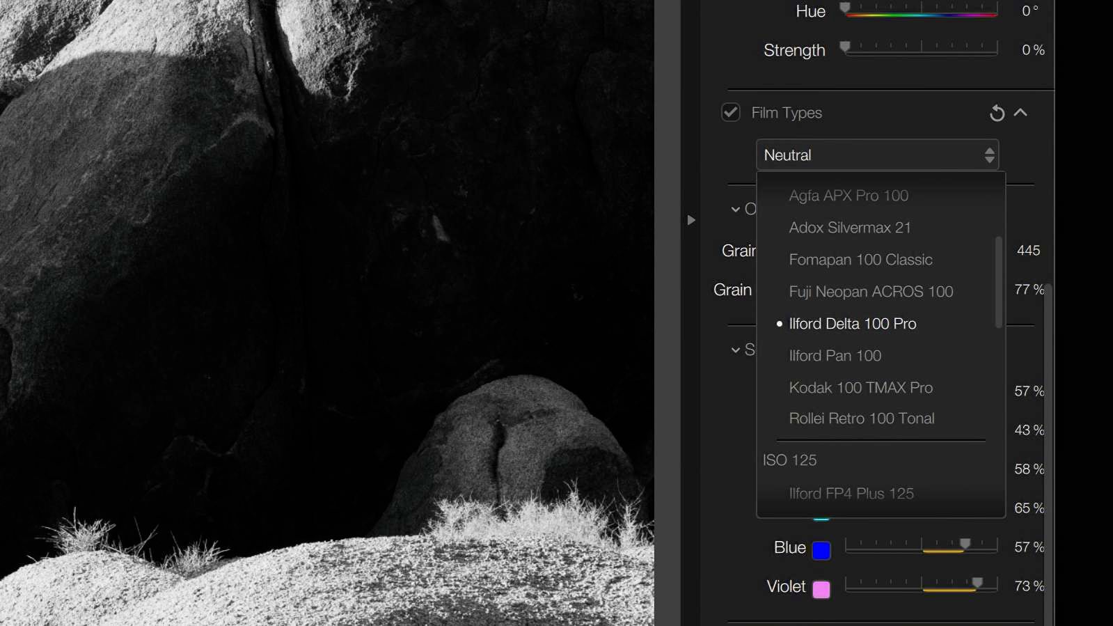 Film emulation options in Nik Silver Efex