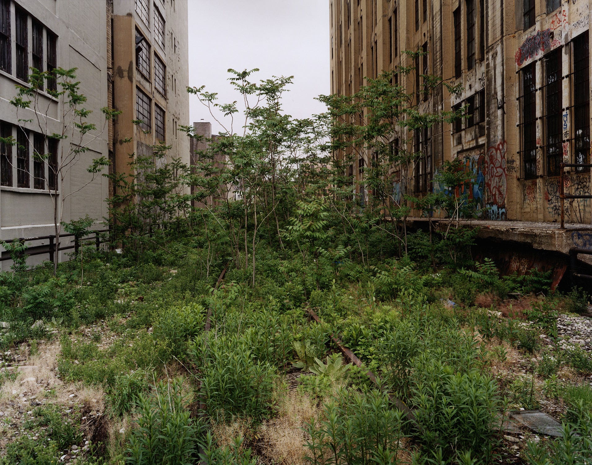 New York West Side Line - Credit: Joel Sternfeld, Friends of the High Line