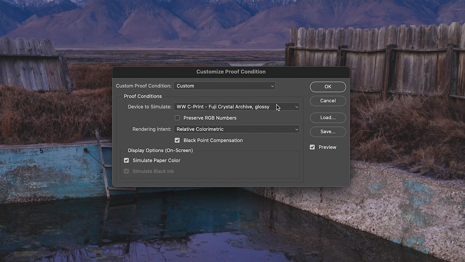 Soft Proofing settings in Photoshop