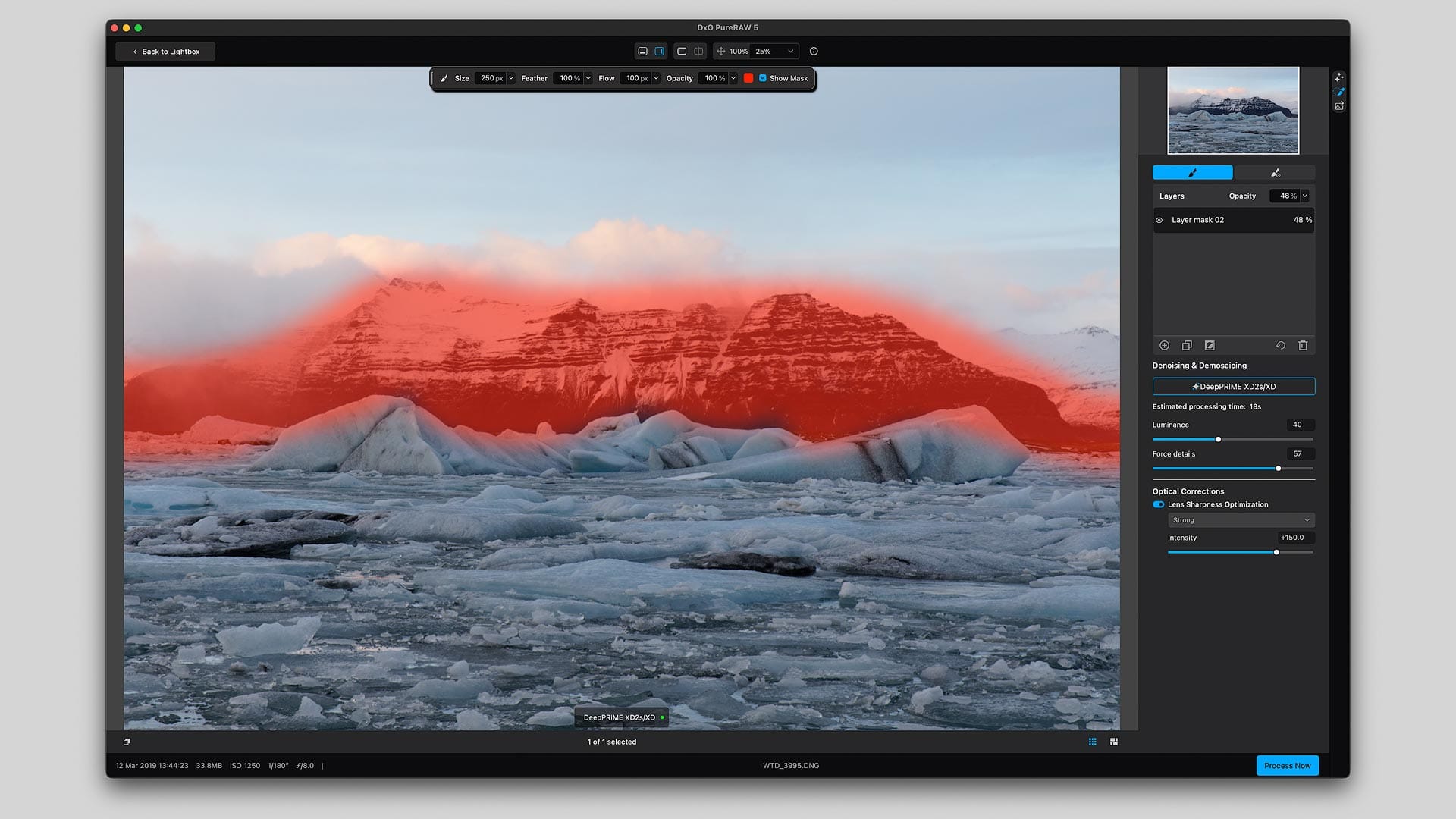 Local adjustment brush in DxO PureRAW 5