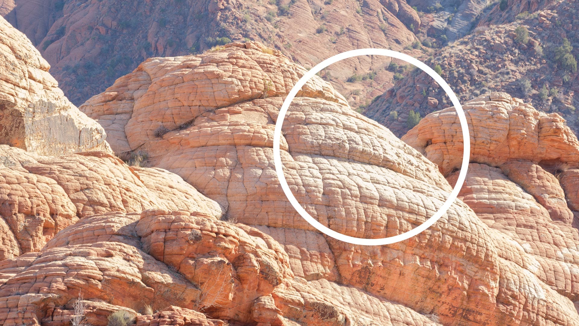 Pale highlights after Highlights and Whites adjustment in Camera Raw