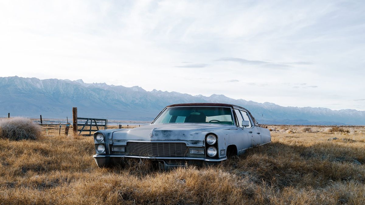 Fujifilm Natura 1600 film emulation profile for Lightroom