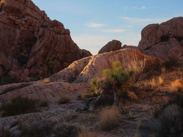 Gold Butte National Monument