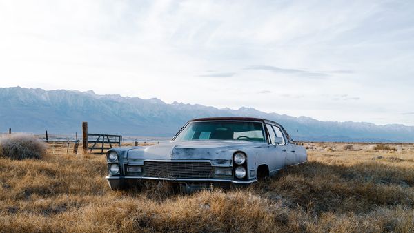 Fujifilm Natura 1600 film emulation profile for Lightroom