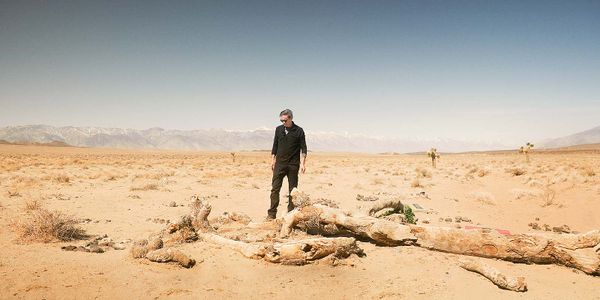 Standing in front of U2's iconic Joshua Tree