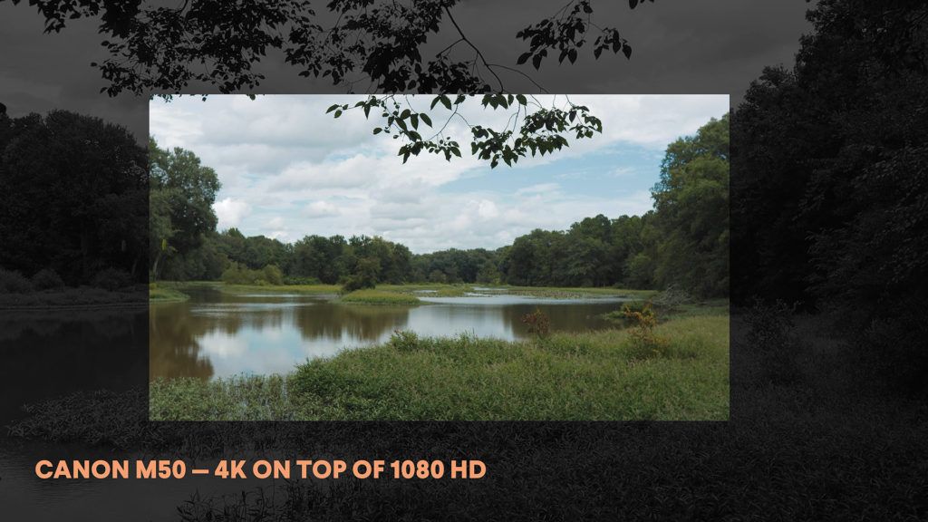 Canon M50 cropped 4K