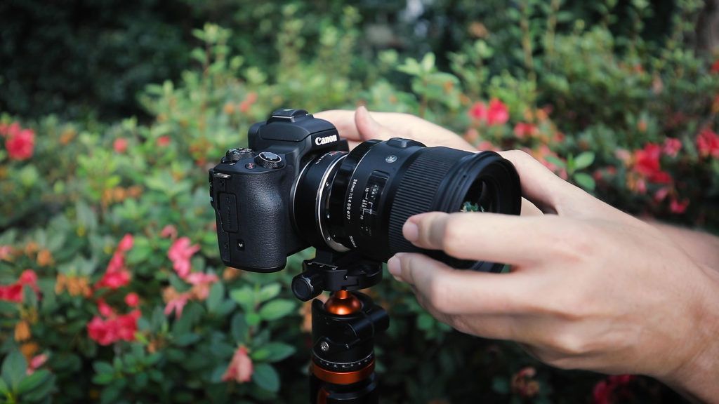 Viltrox Speed Booster on the Canon M50