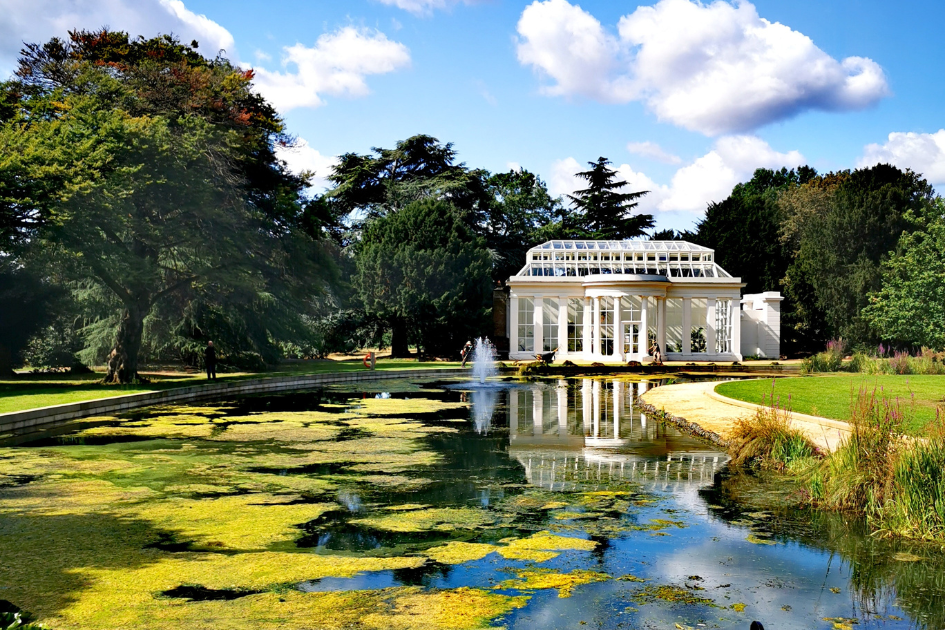 Local Open Air Theatre, Summer 2023