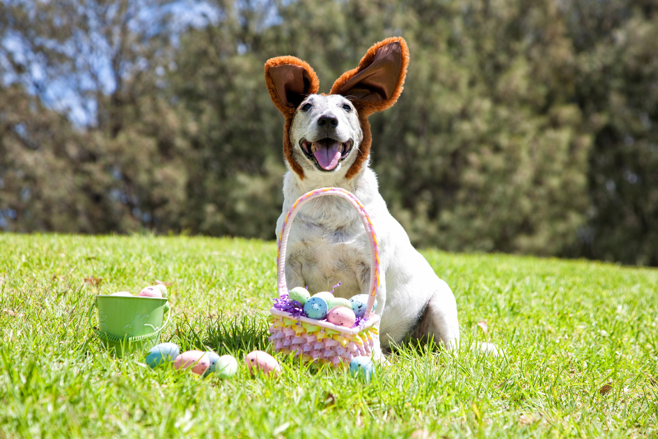 Celebrate the Easter Long Weekend in Ealing: A Springtime Guide