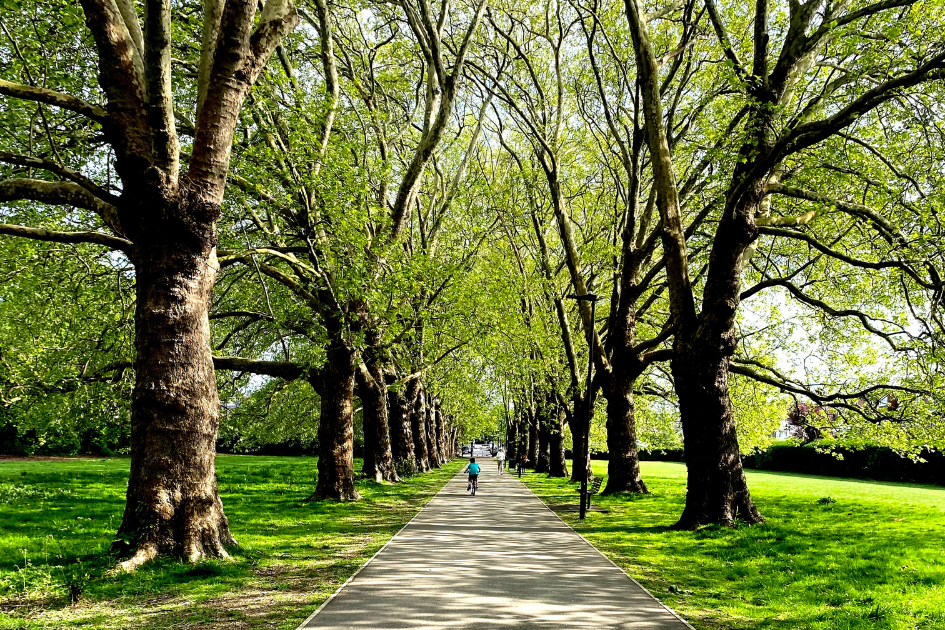 Mental Health Week in Ealing: 4 Simple Ways to Keep Calm