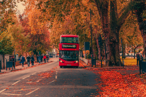 Five Simple Joys of Autumn