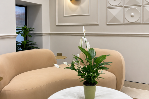 New Fertility Clinic Brings Personalised Care to the Heart of Ealing