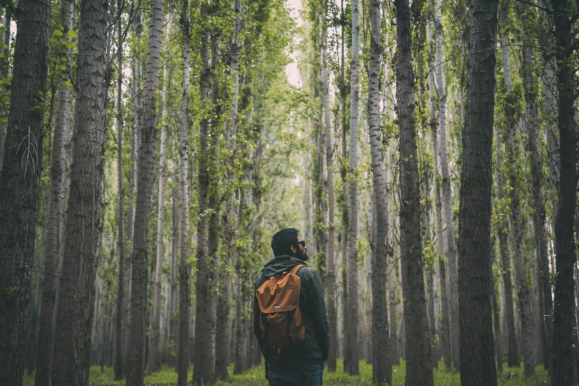 You're Not Supposed To Know Where You're Going
