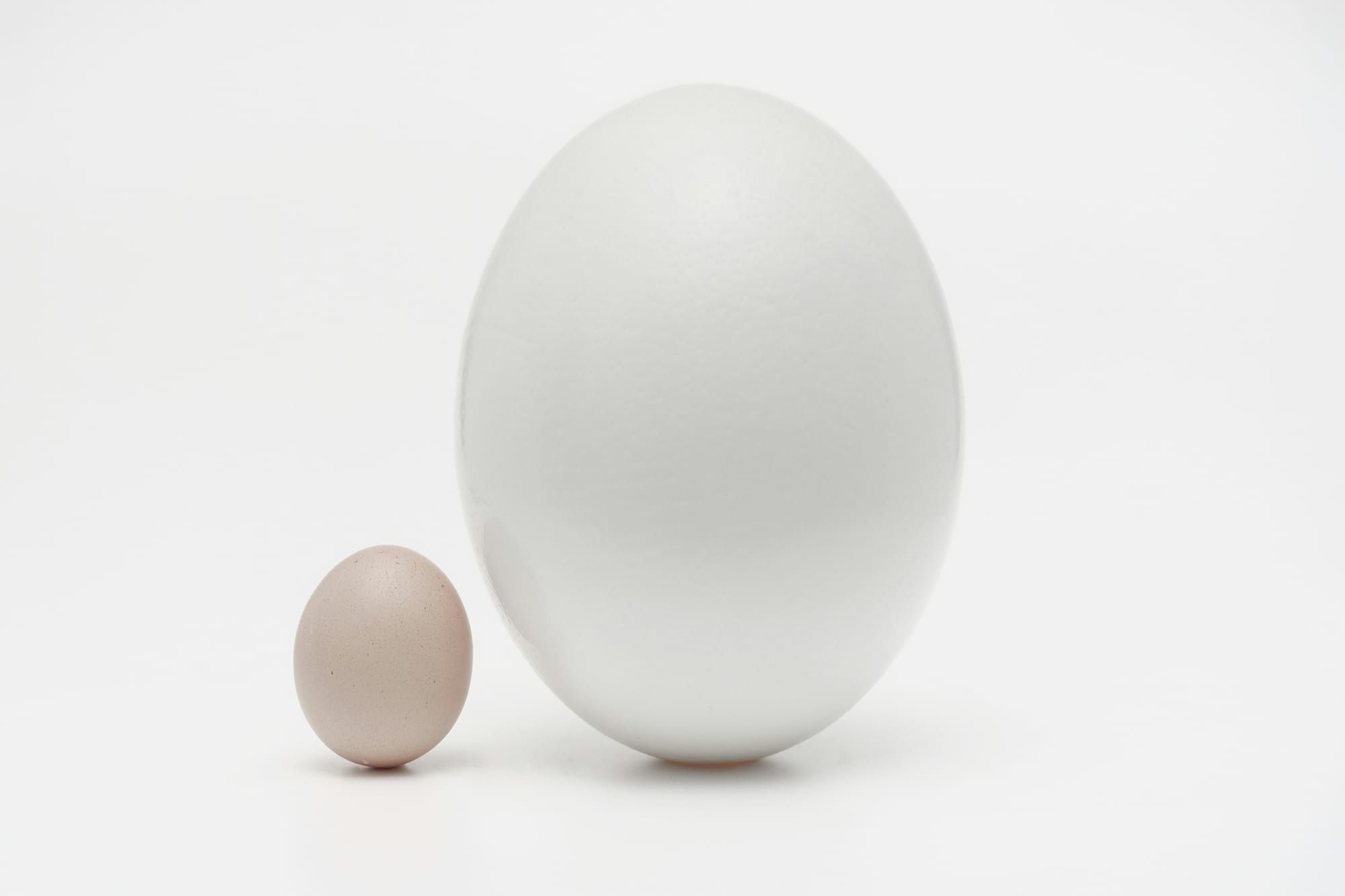 Everything is Relative: 3 Ways Relativity Interacts with Growth
