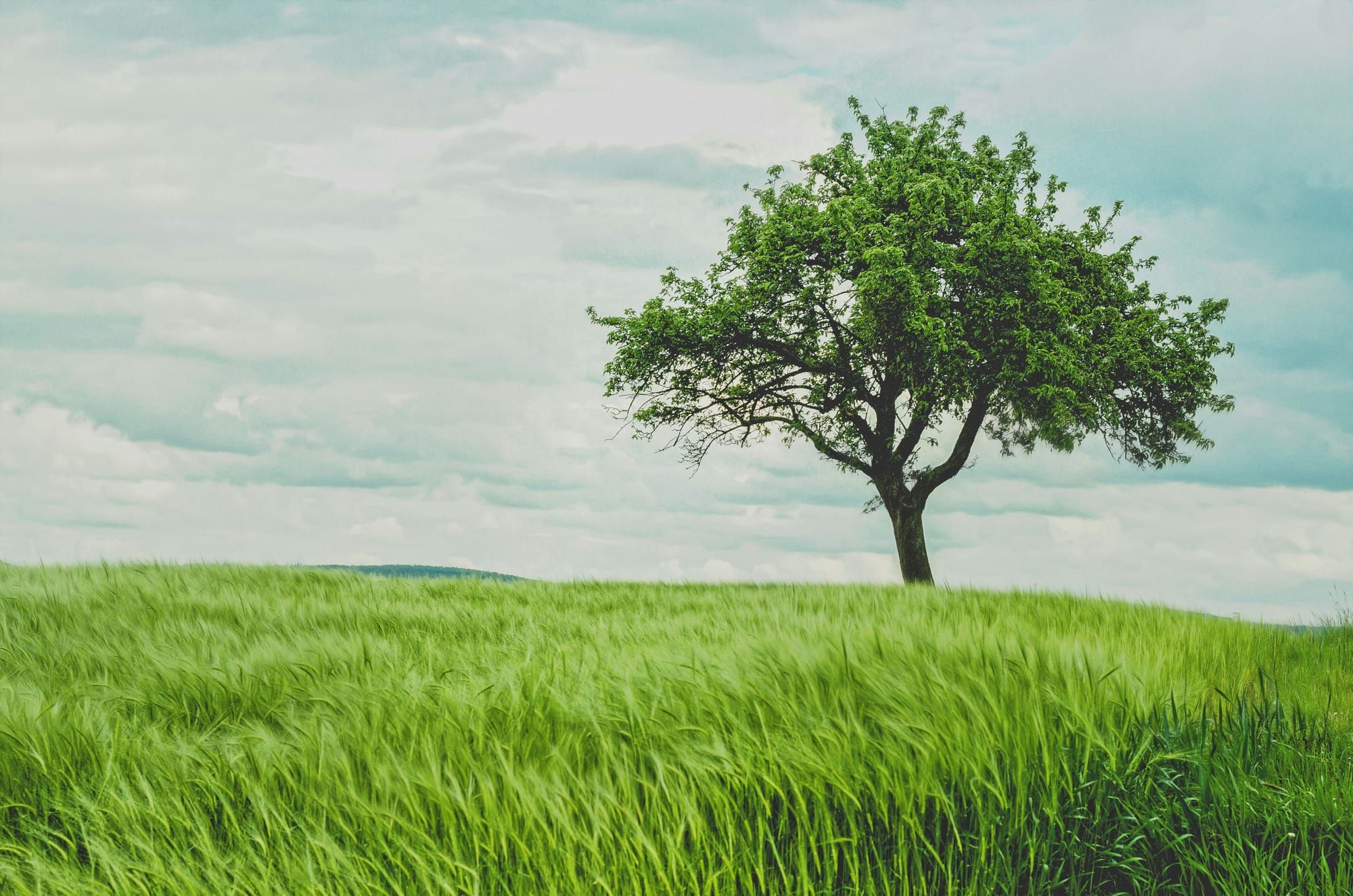 How to Keep a Growth Mindset