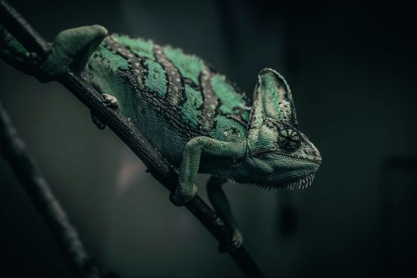 Adaptability: The Skill That Keeps Consistency Alive