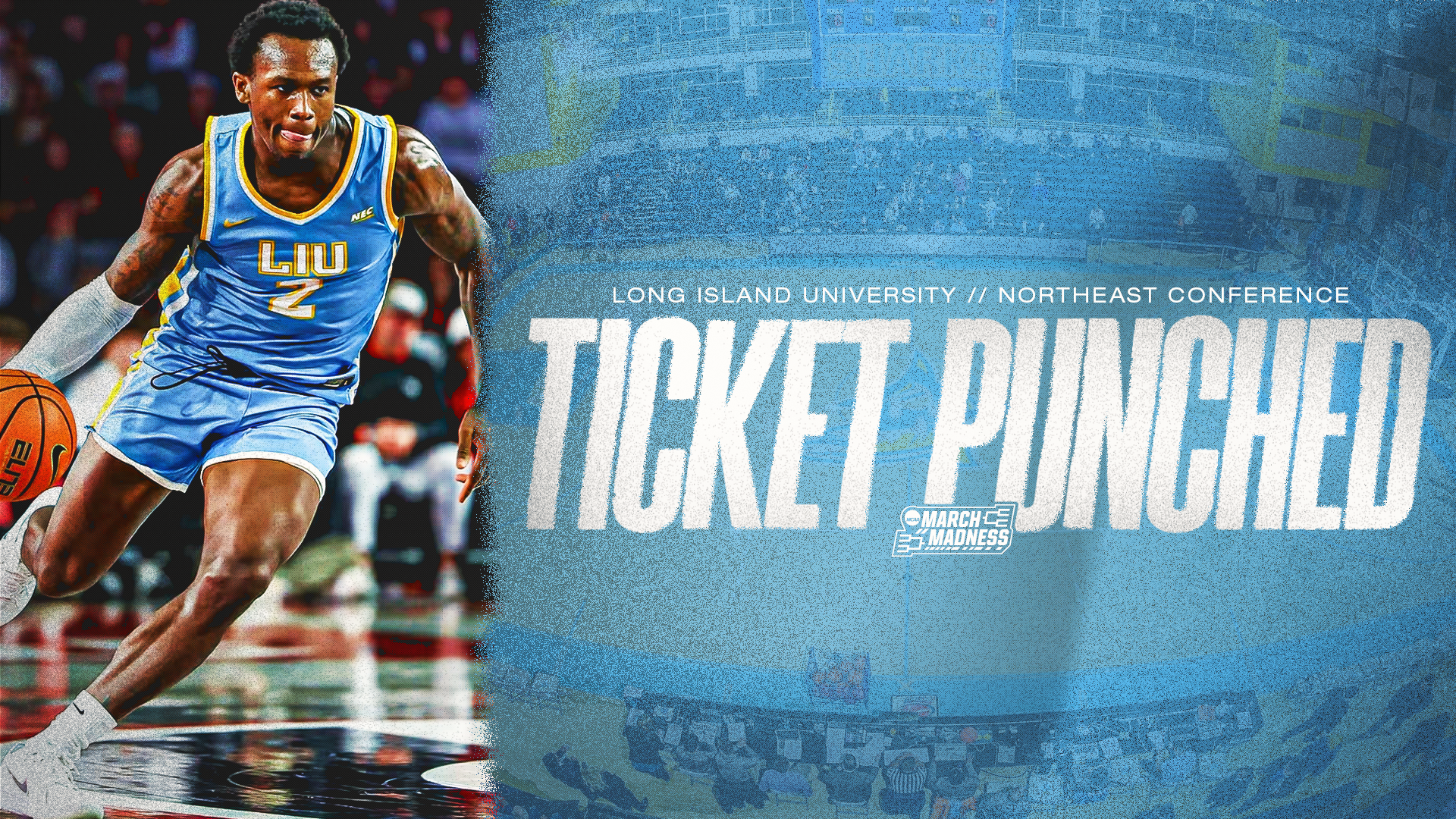 Ticket Punched: Previewing the LIU Sharks For the 2026 NCAA Tournament Post image