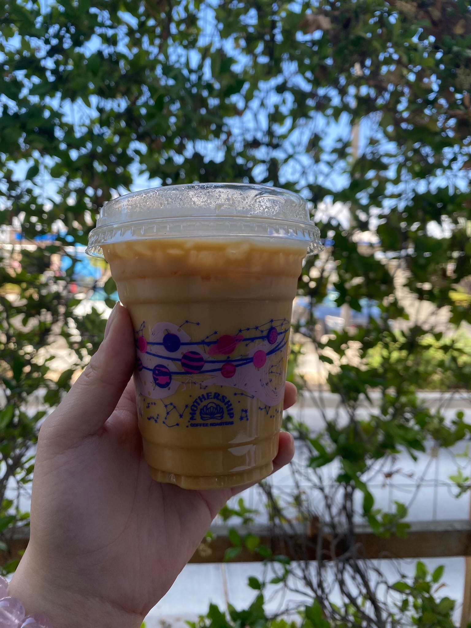 A hand holds a clear plastic cup with a lid containing an iced coffee drink with visible cream swirls. The cup has colorful circular decorations and text on it. The background shows green foliage and trees with soft, blurred lighting. The label reads "Mothership Coffee Roasters".