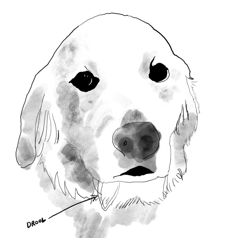 January links: I turned my dog into an NFT