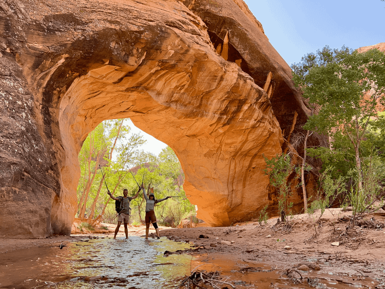 A review of our year on the road