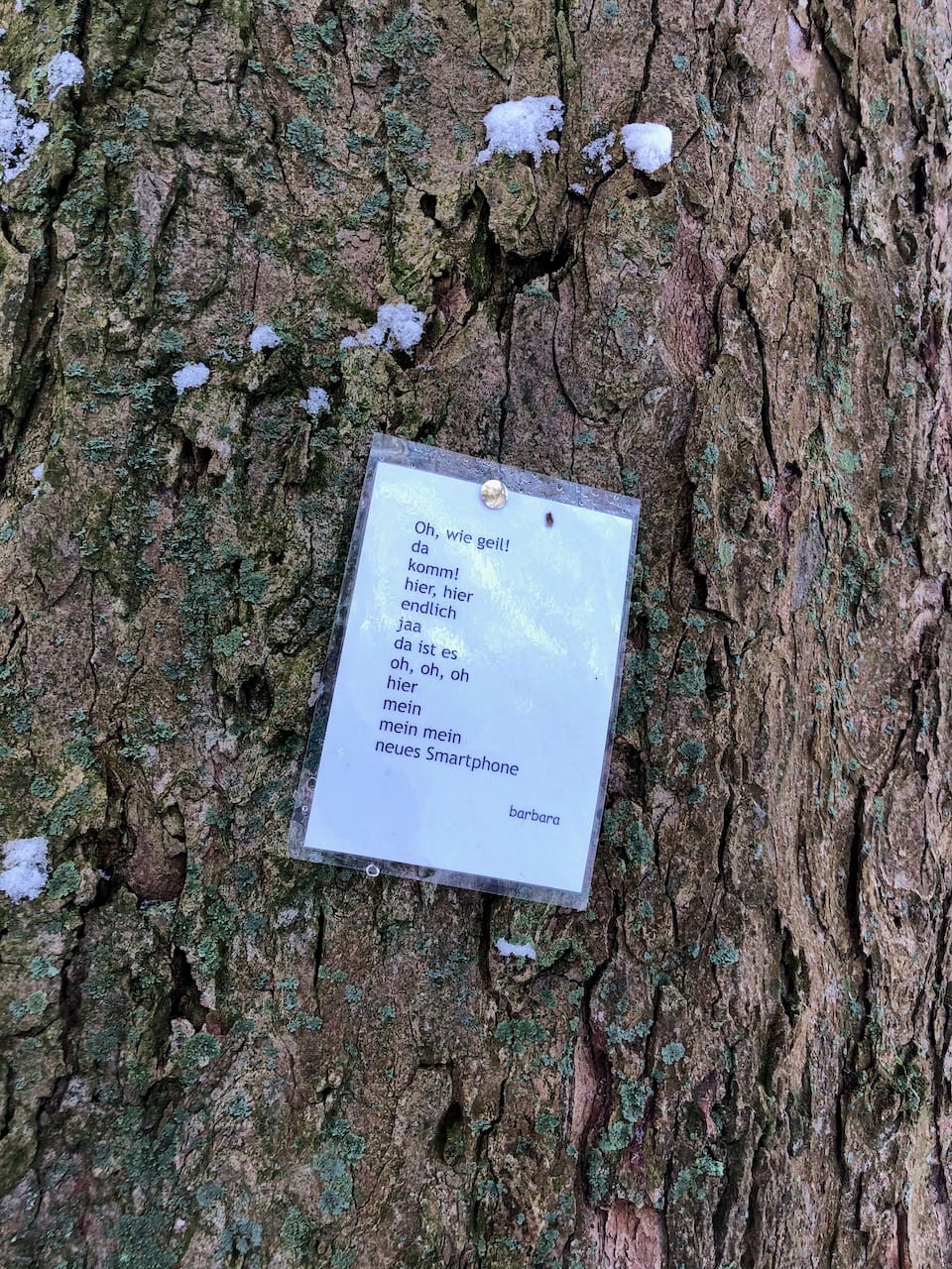 ein laminierter gedruckter Text wurde auf einen Baumstamm gepinnt. Der Text lautet: "Oh, wie geil! da komm! hier, hier endlich jaa da ist es oh, oh, oh hier mein mein mein neues Smartphone." Unterzeichnet wurde mit dem Namen barbara