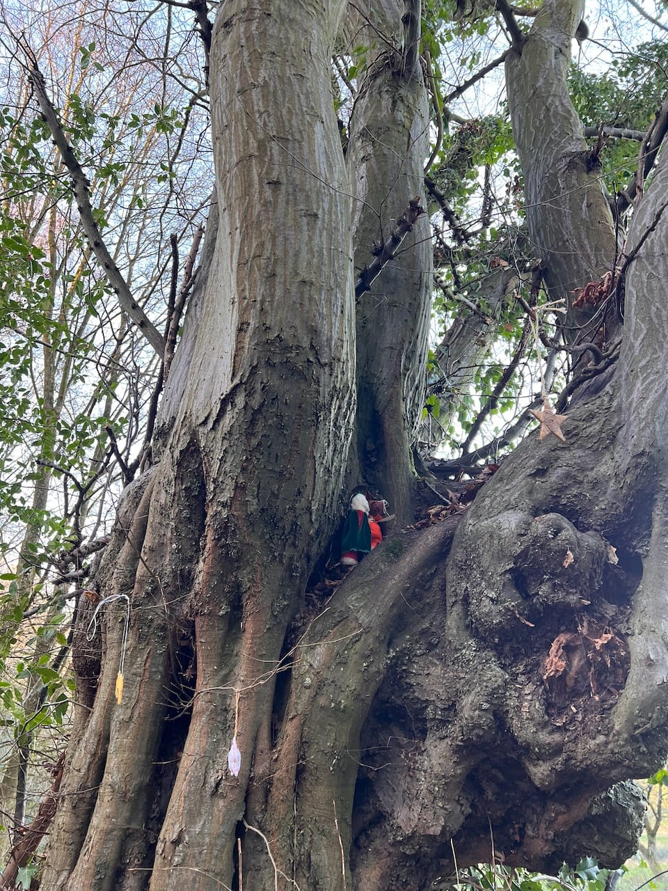 Sterne hängen von einem Baum und im Baustamm stecken Figuren, vermutlich die Heiligen drei Könige
