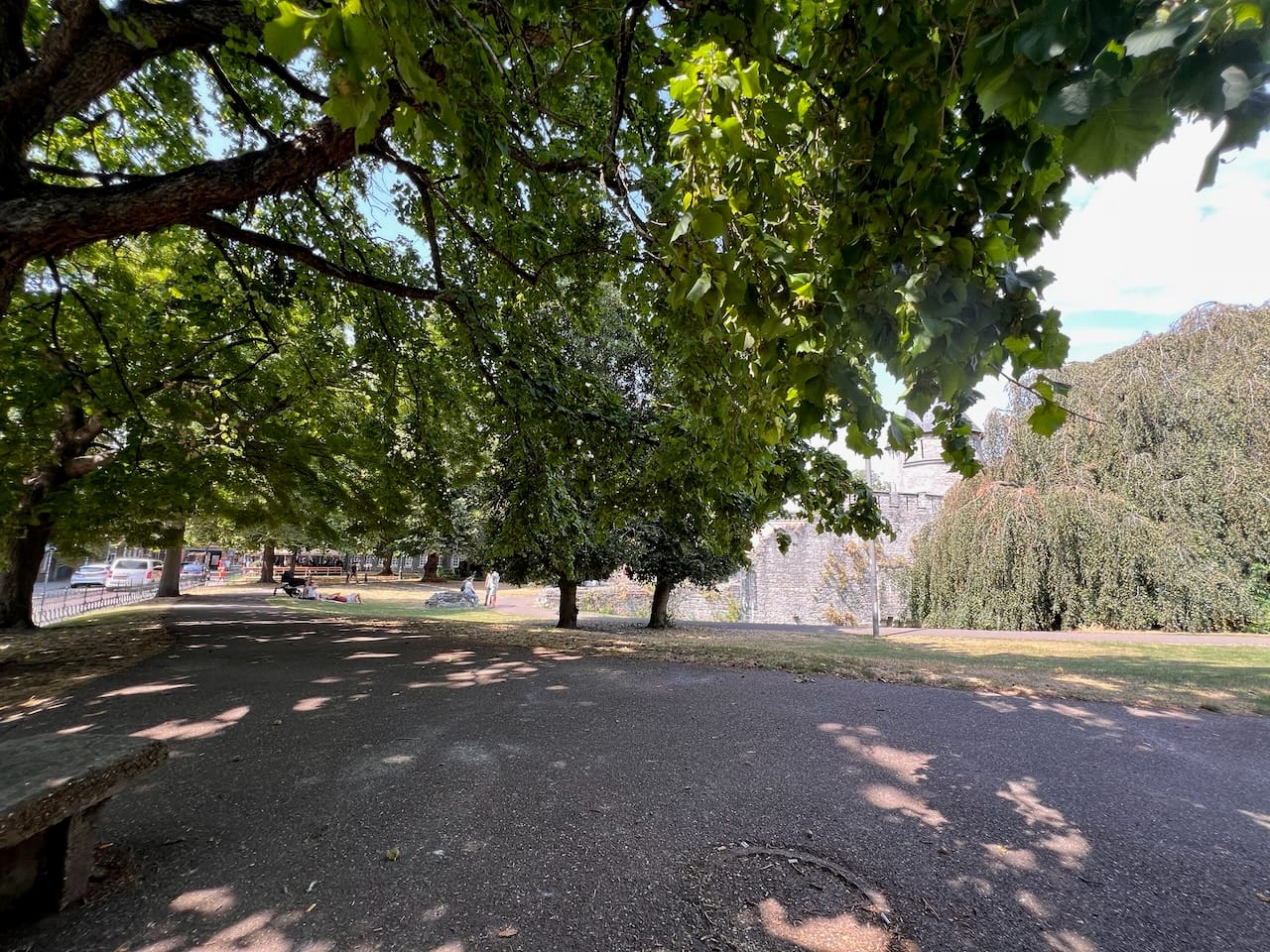 ein schattiger Platz unter einer Linde