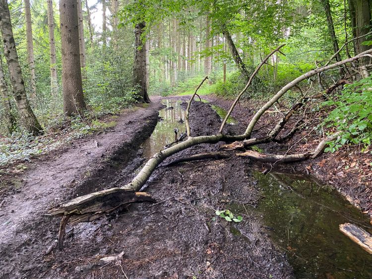 Sommerloch oder: die verschwundene Lust aufs Bloggen