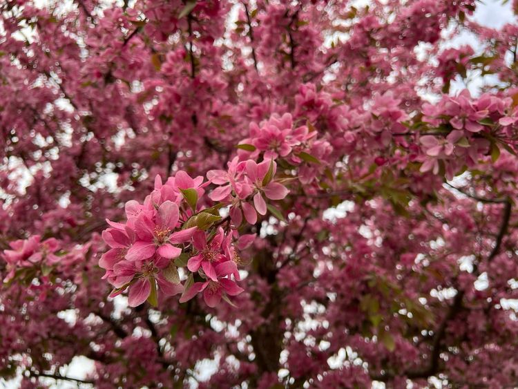 schreiben oder schreiben lassen?