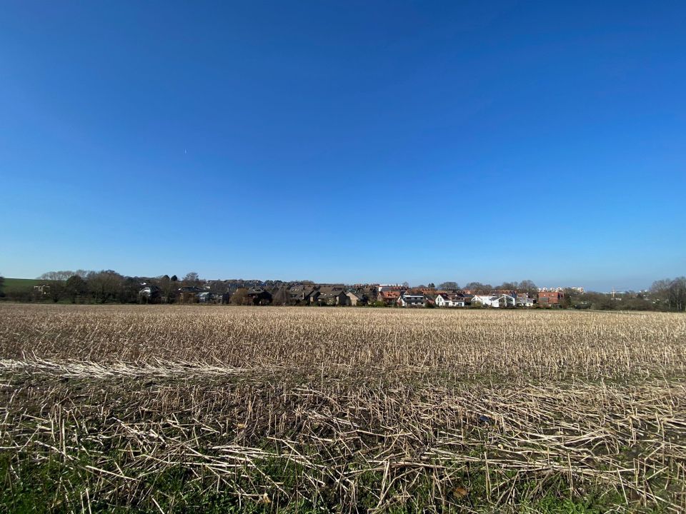 Monatsrückblick #3: neue Bücher und neue Kleidung