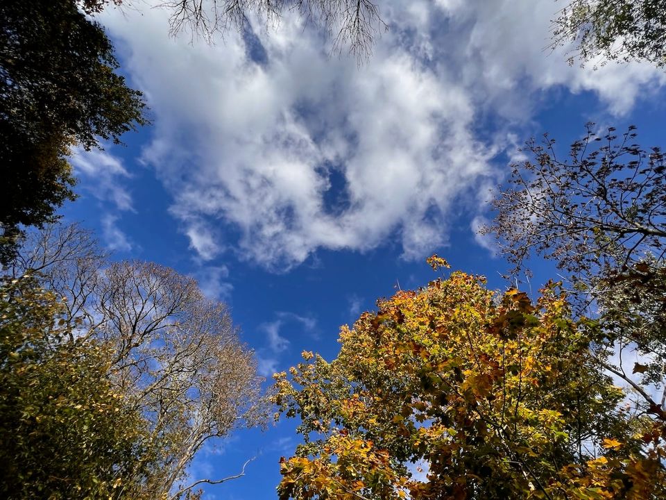 Blogparade: Selbstfürsorge