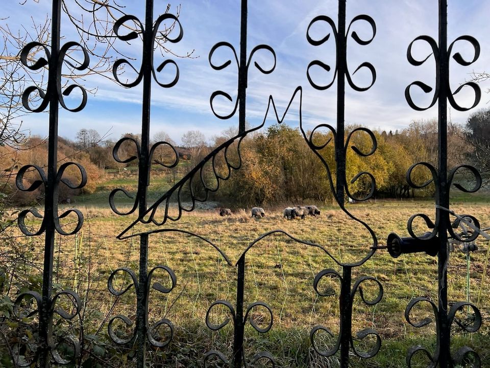 Wochenrückblick KW47