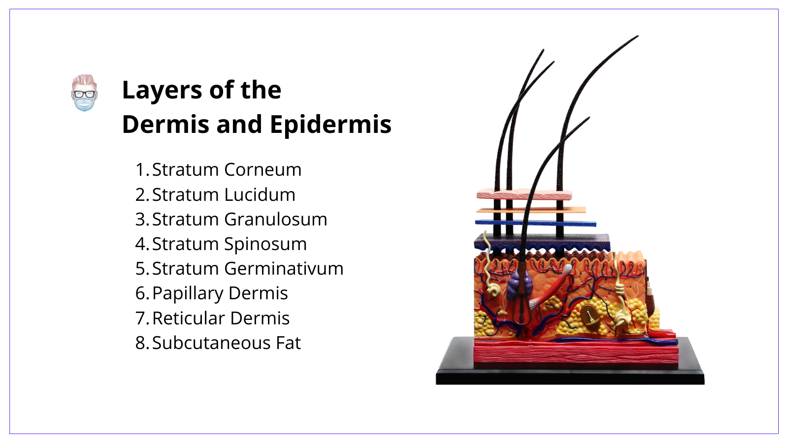 Breslow Thickness, Layers of the Dermis and Epidermis&nbsp;