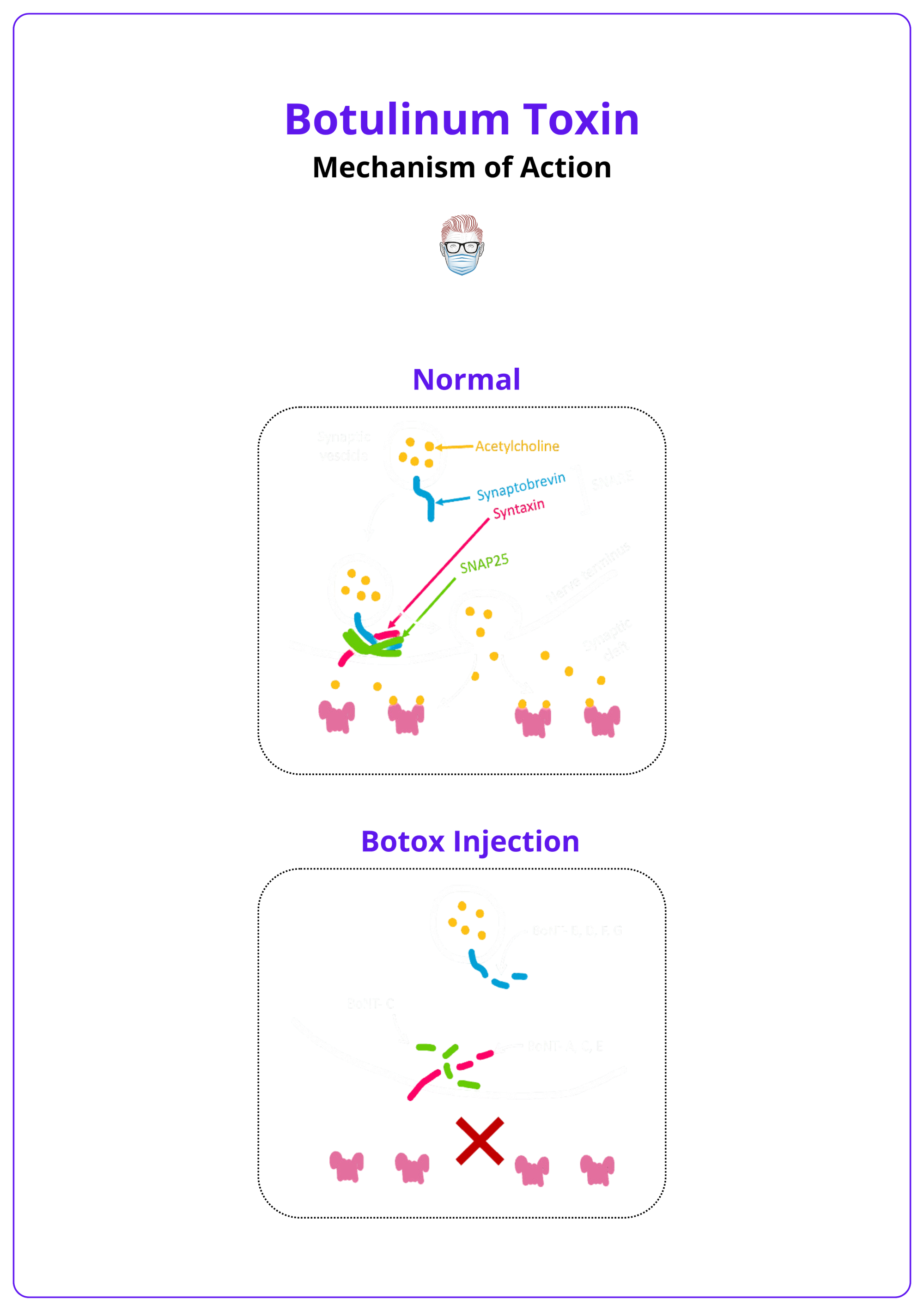 Botulinum Toxin: Mechanisms, Clinical Applications, & Injection