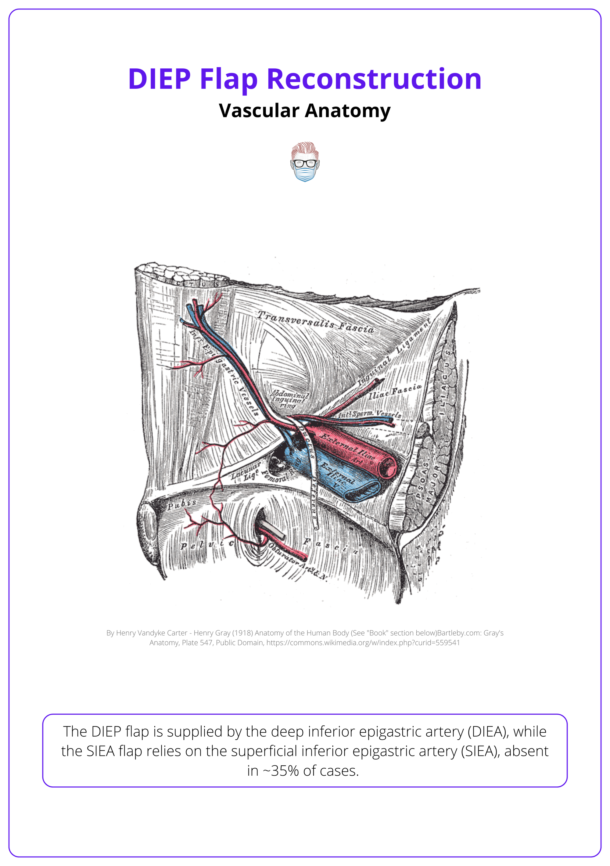 The exiting and entering vessels and other structures