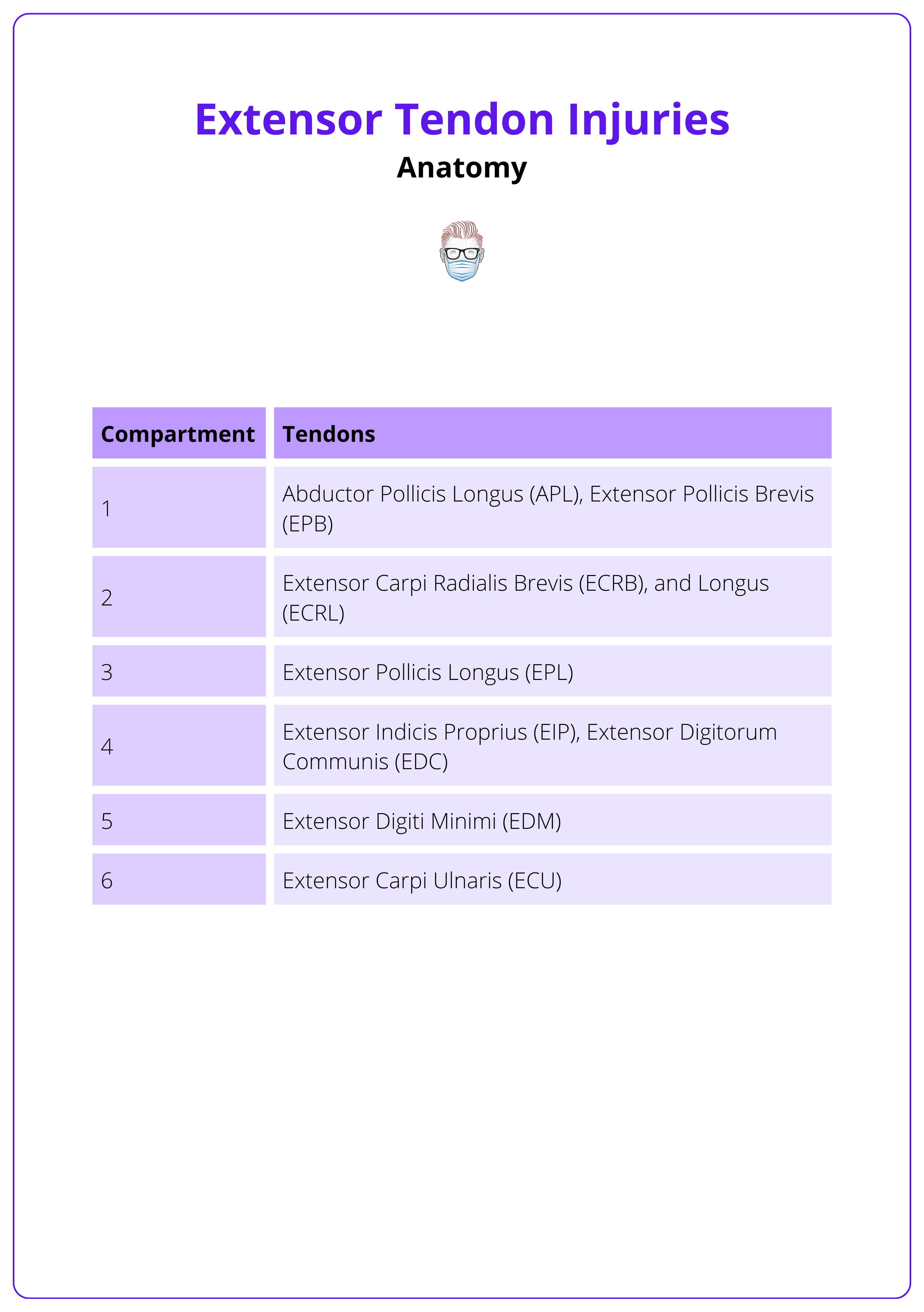 Six dorsal compartments of the wrist and passing tendons