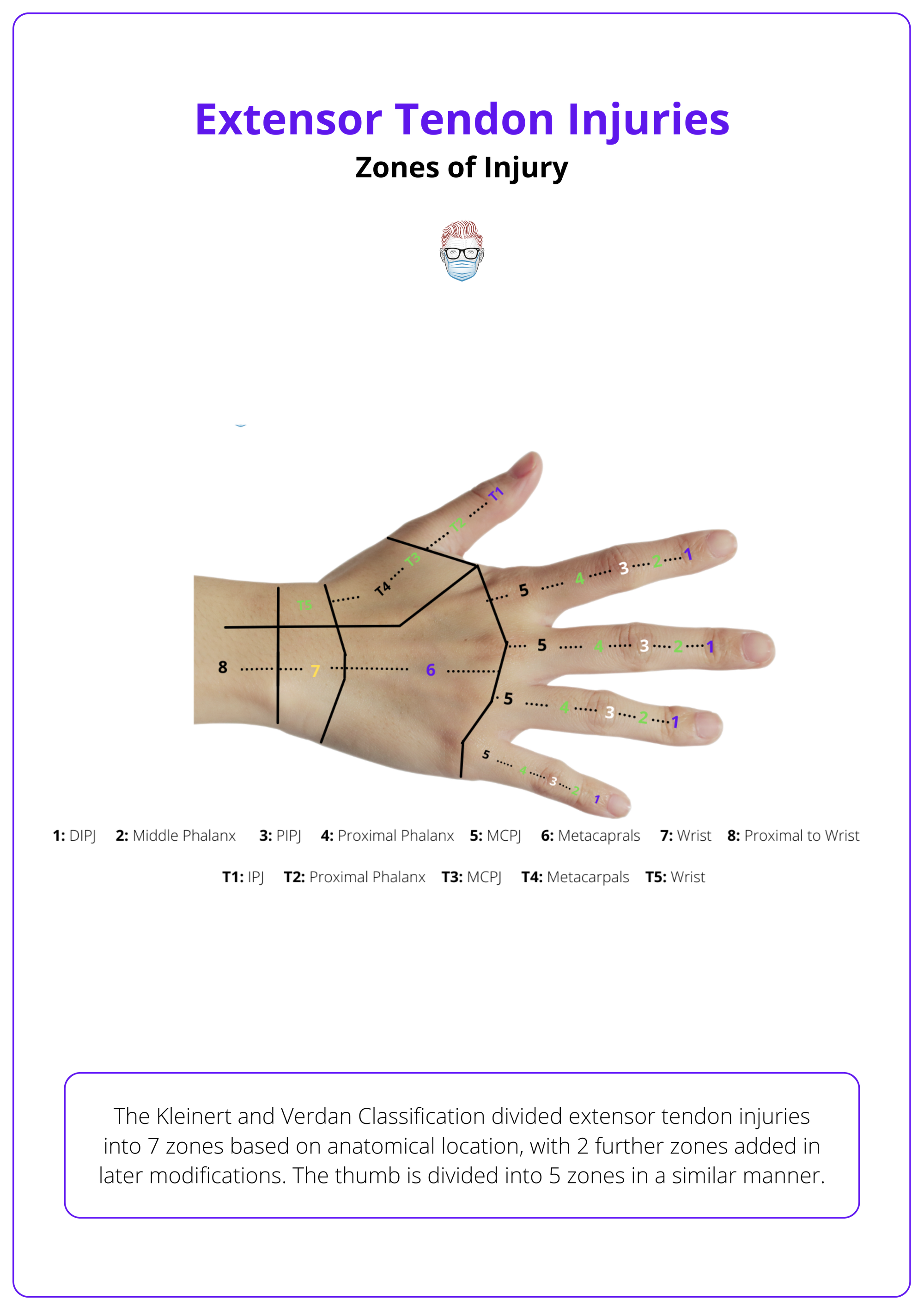 Extensor zones of the hand, Kleinert and Verdan classification