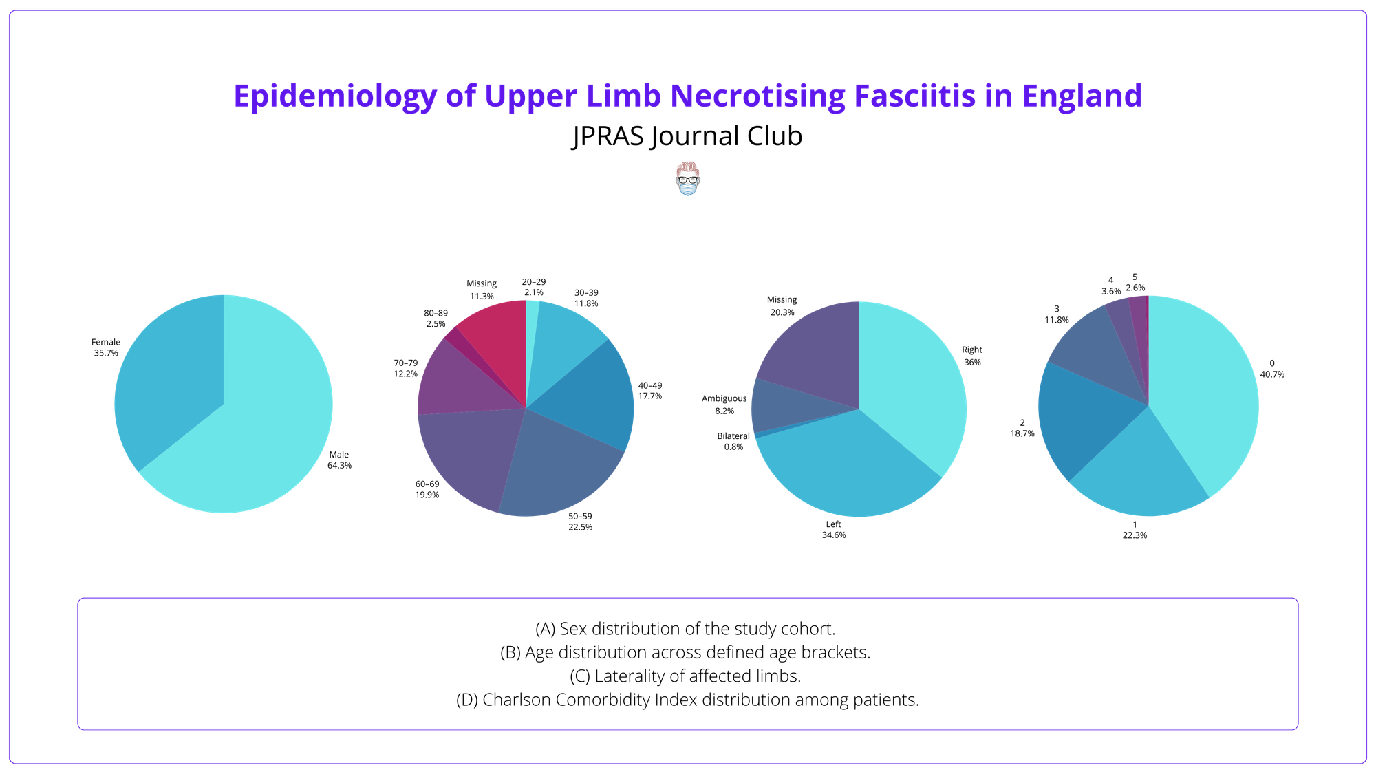 Demographics of the study cohort - Upper limb necrotising fasciitis