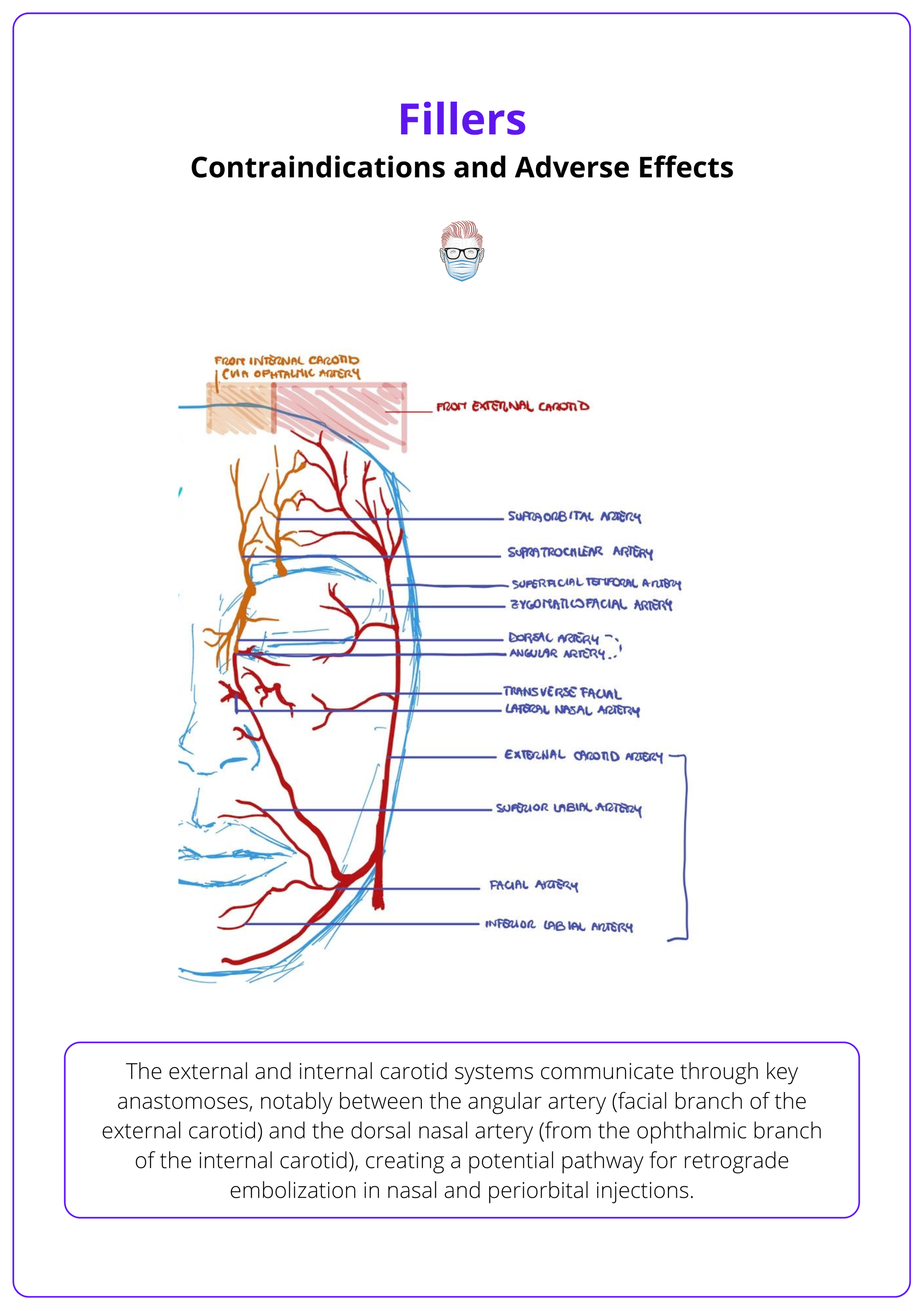 The adverse effects of fillers