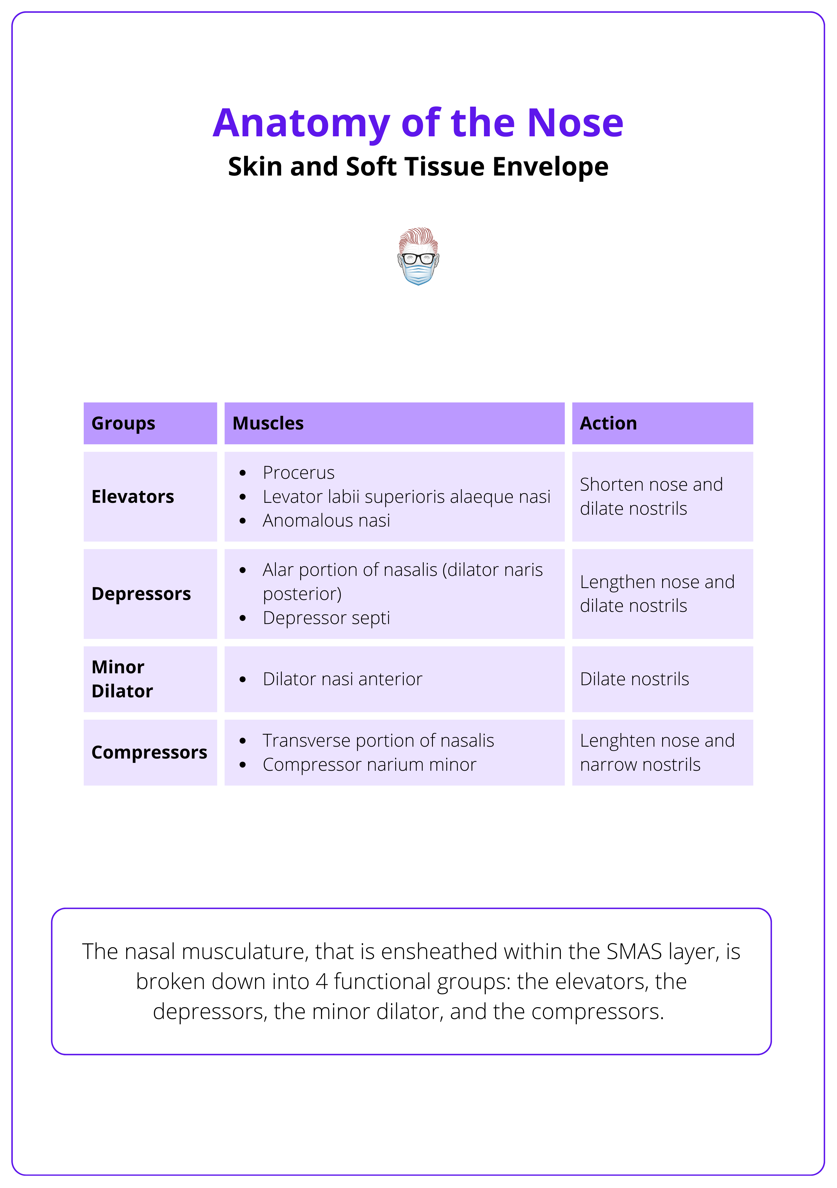 The four functional groups of nasal muscles