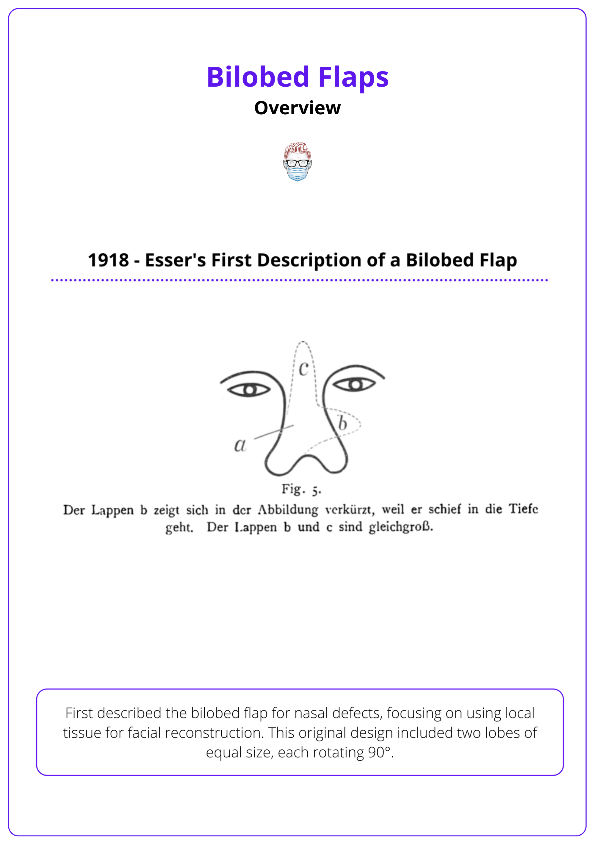 Esser's first description of a bilobed flap