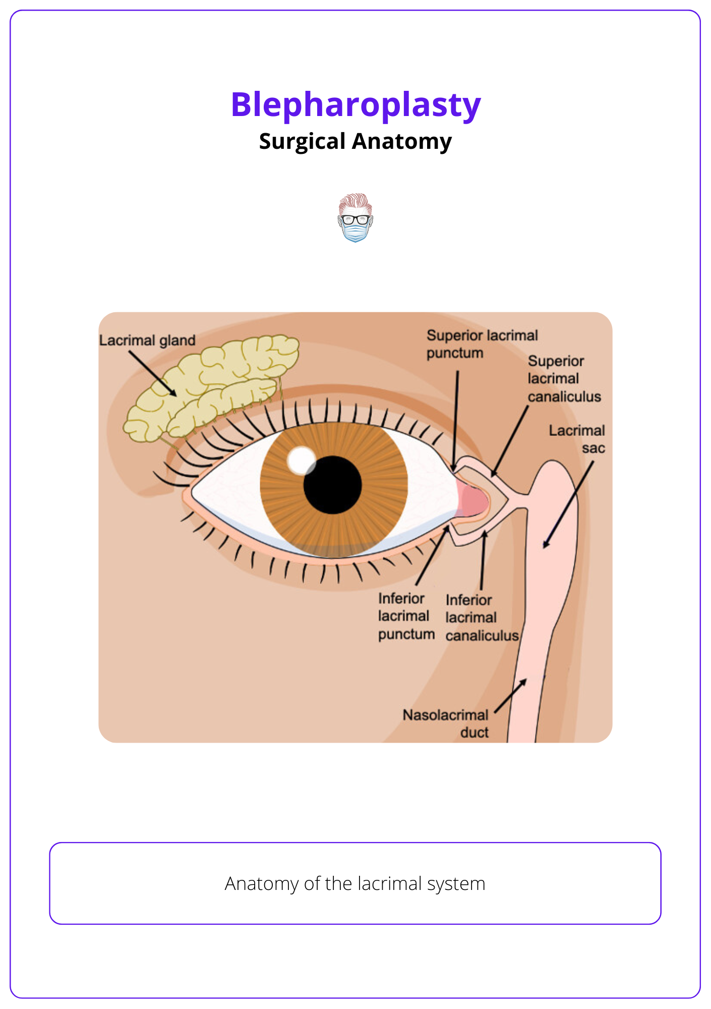 Anatomy of the lacrimal system, blepharoplasty