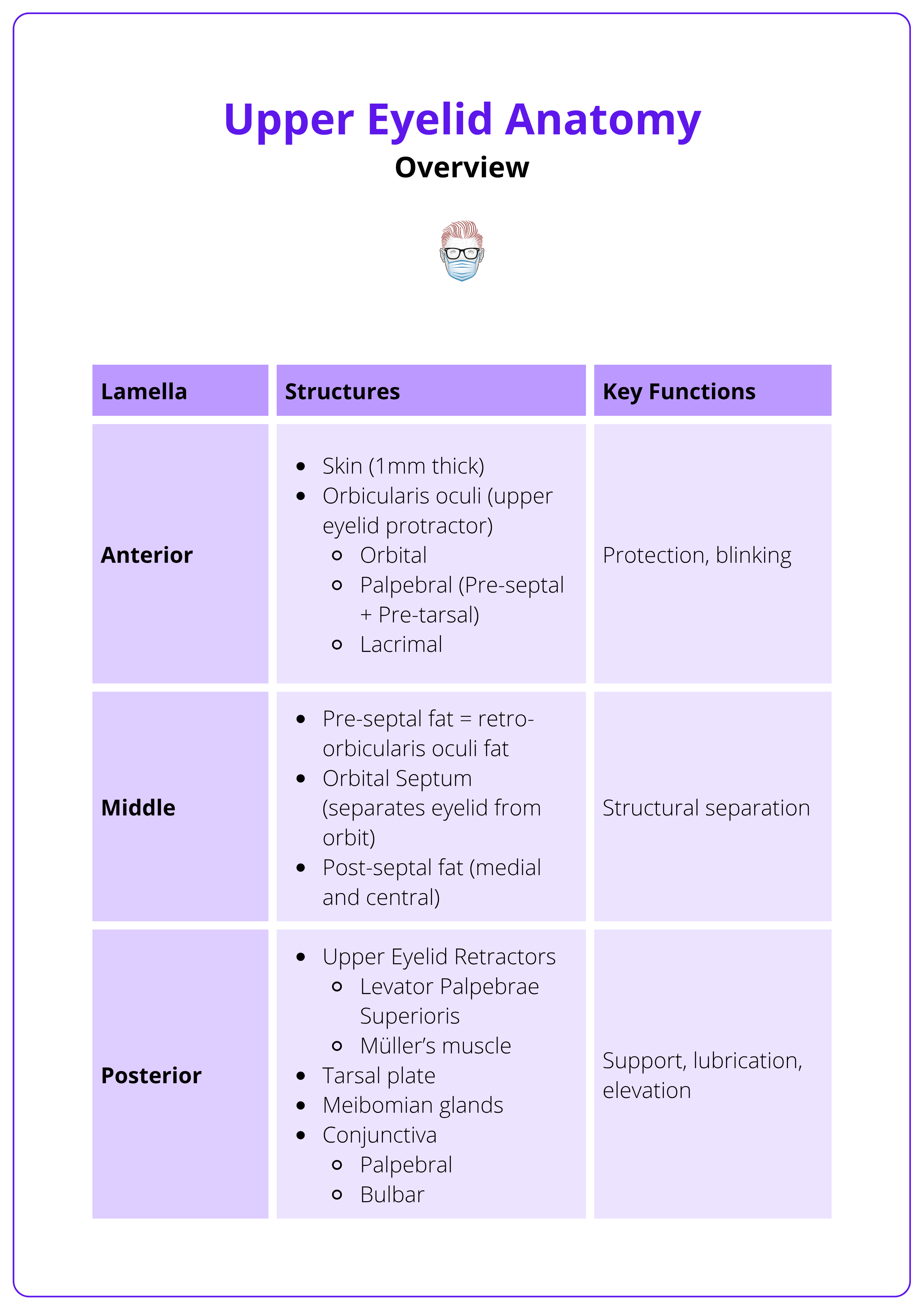 The lamellae, their structures, and functions